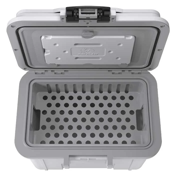 8QT Personal Cooler - Image 19