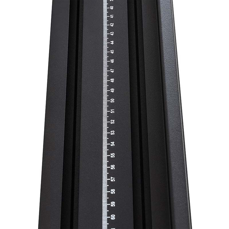 Pioneer Platform 60x56" with Backbone - Image 6